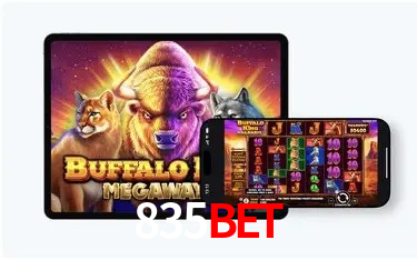 Login Seguro 835bet
